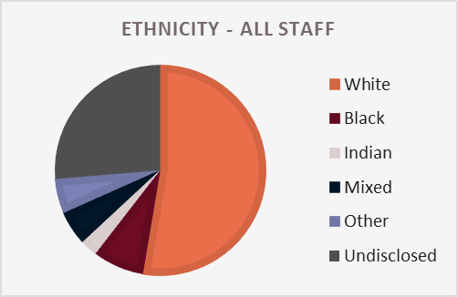 A pie chart showing the ethnic makeup of GDI staff